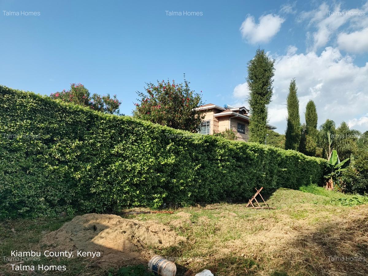 Land at Tigoni - 11