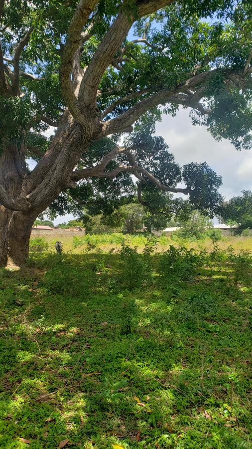 5 ac Land at Mavueni - 2