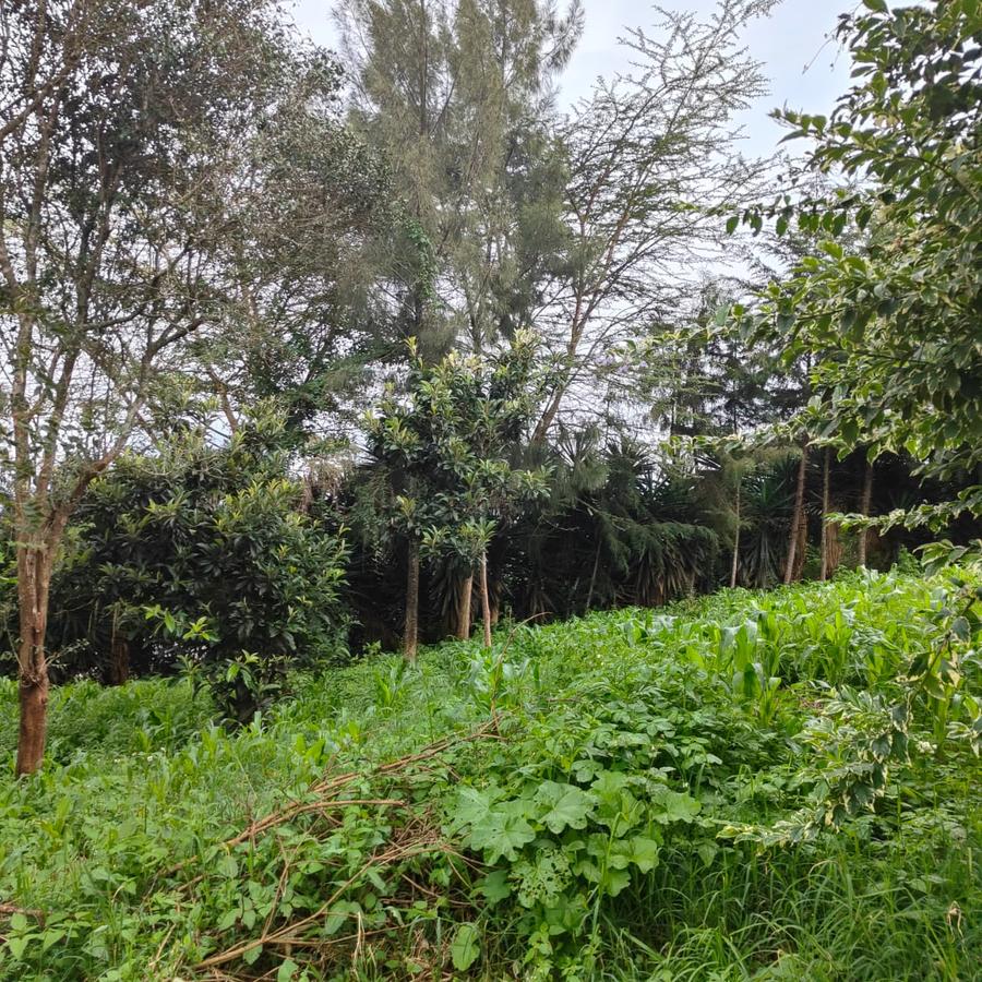 1 ac Land at Ngong - 15