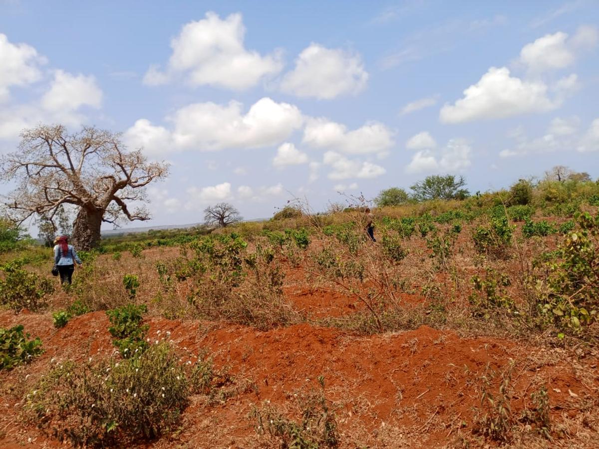 5,000 ft² Land at Mavueni - 7