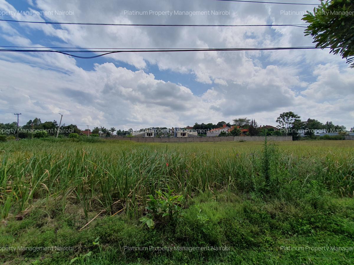 0.5 ac Residential Land at Mumwe Drive - 4