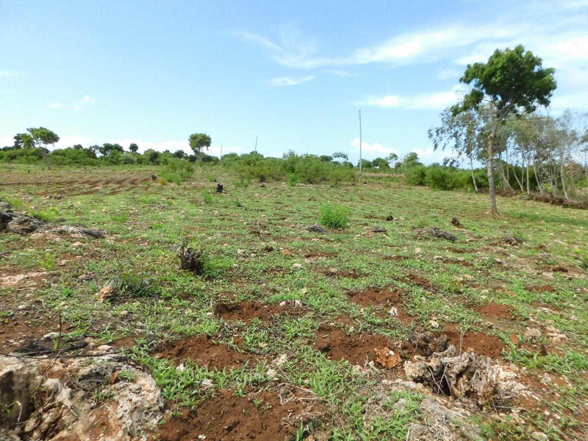 10,000 ft² Land at Vipingo - 4