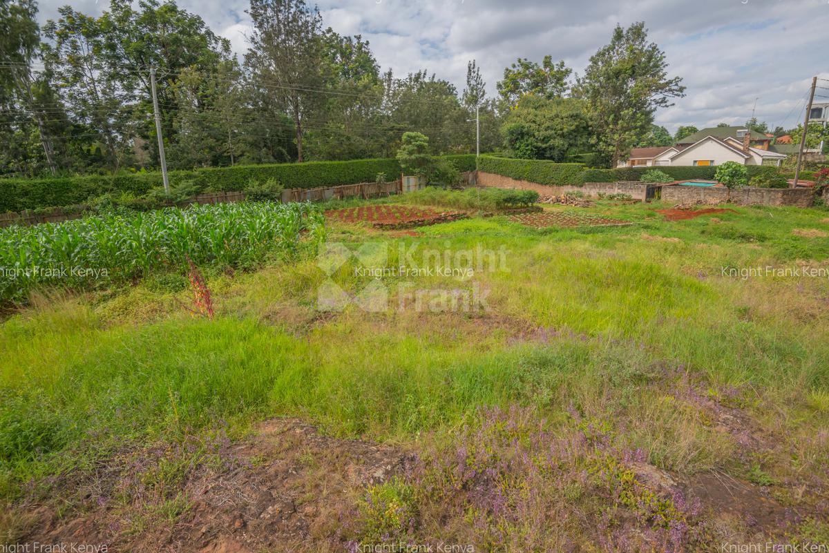0.64 ac Land in Ridgeways - 4