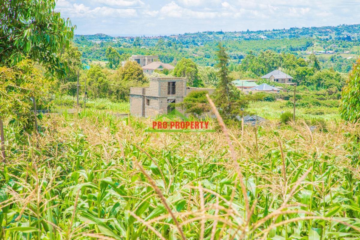 0.05 ha Residential Land at Gikambura - 11