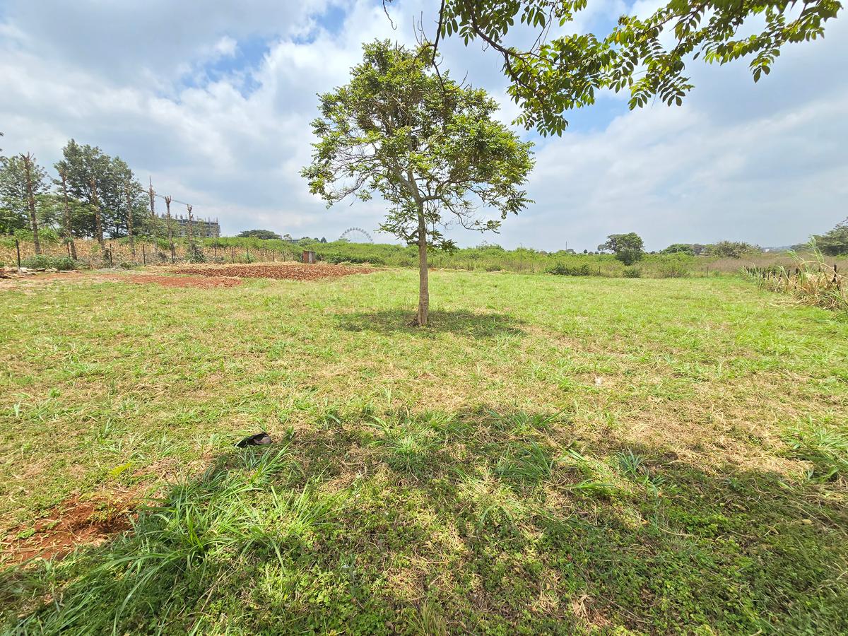 Residential Land at Runda Garden - 2