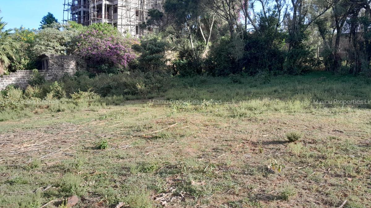 Land at Mayor Road - 4