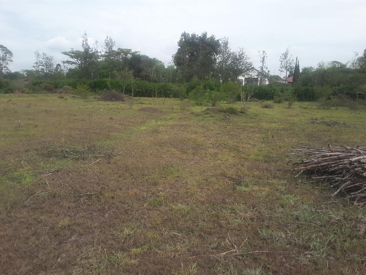 0.5 ac Residential Land in Karen - 8