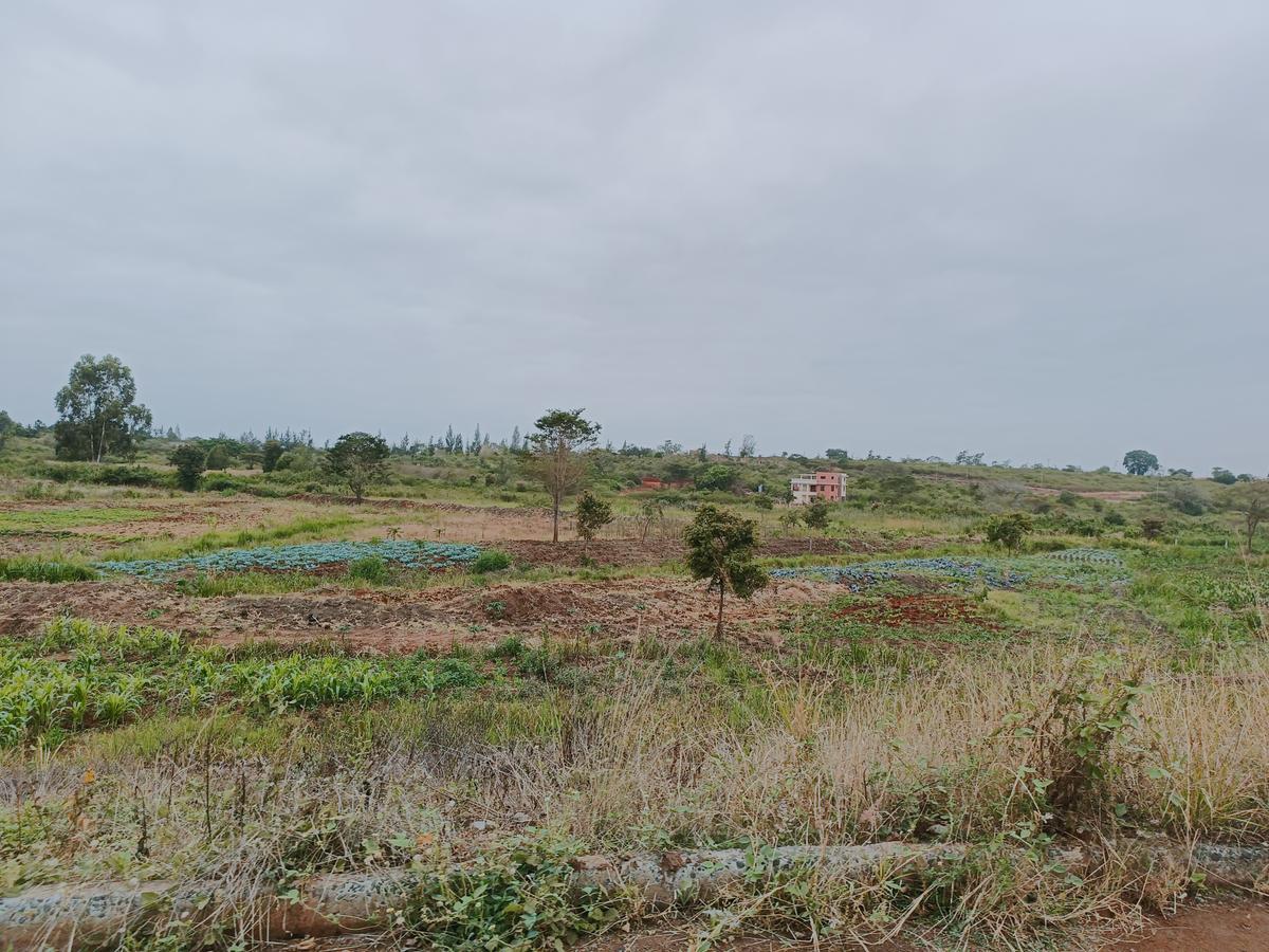 0.25 ac Land at Thika Greens Golf Estate - 9