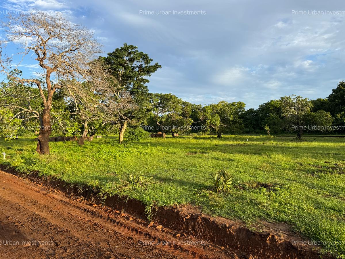 Residential Land in Vipingo - 14