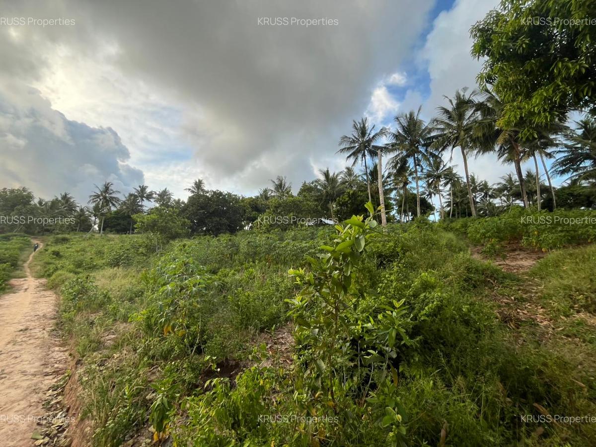 0.6 ac Land at Ls219 - 1