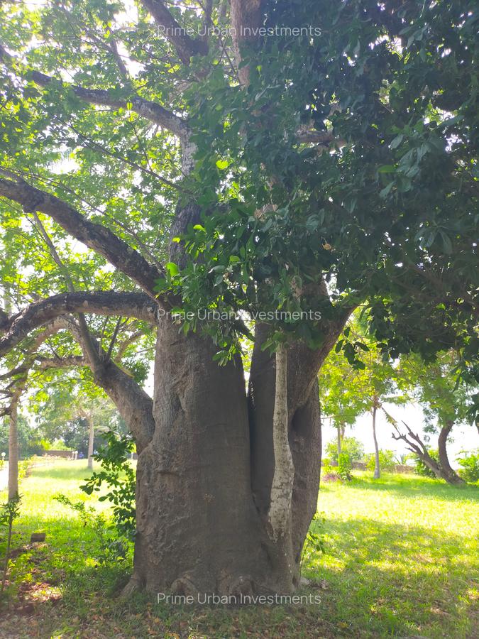 Land in Kikambala - 14