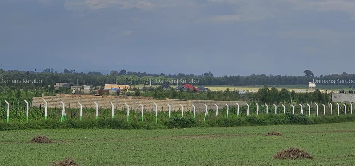 0.23 ac Land at Ngata - 4