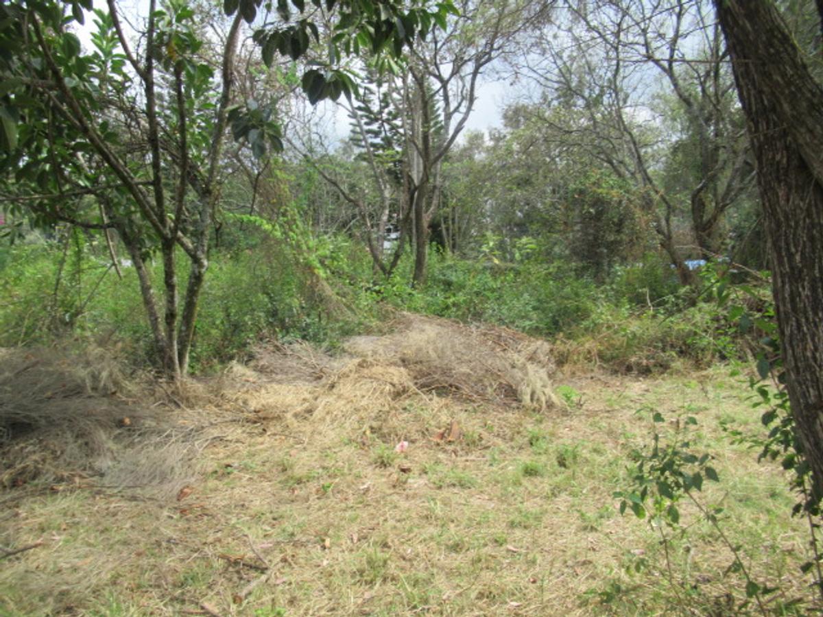 Residential Land at Masai West Rd - 8