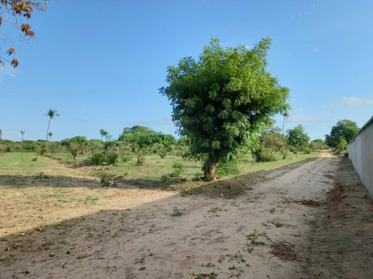 Residential Land in Nyali Area - 13