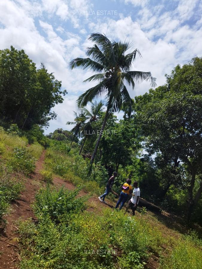 0.125 ac Residential Land at Diani Beach Road - 6