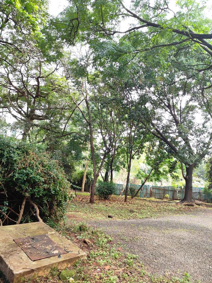 2 ac Land at Lantana Road - 13