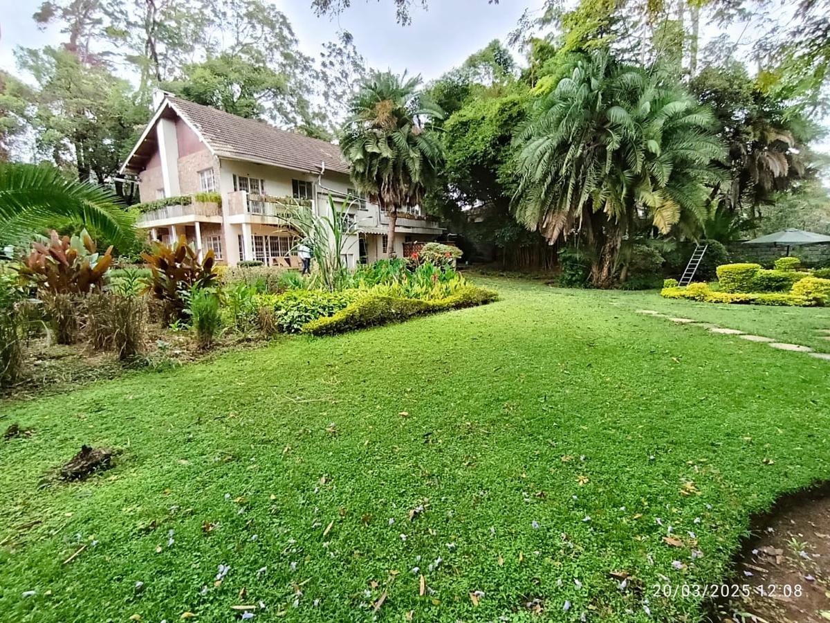 Commercial Property with Fibre Internet in Lavington - 8