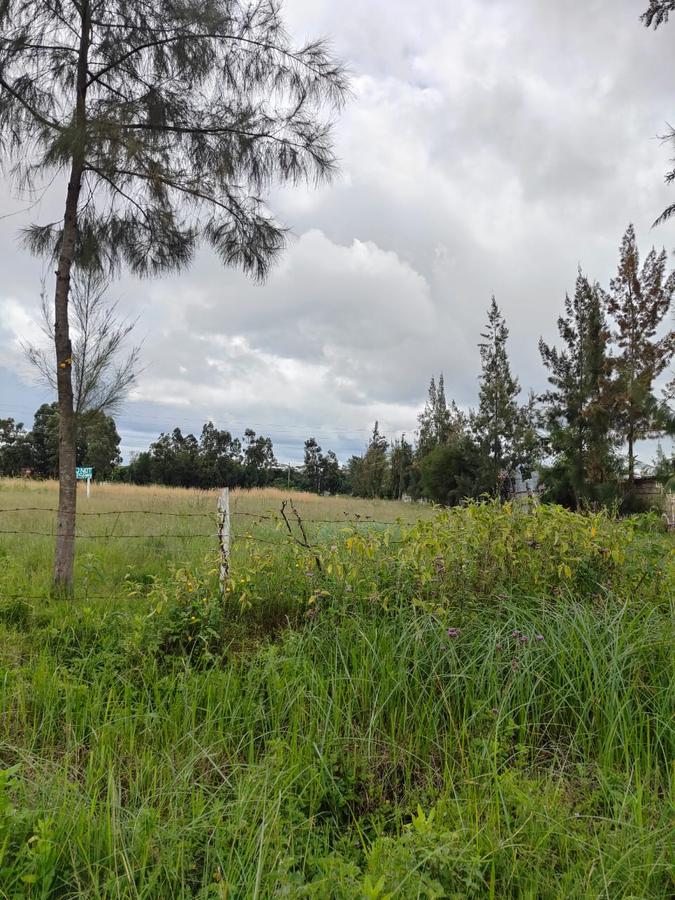 5 ac Land at Karen C - 13