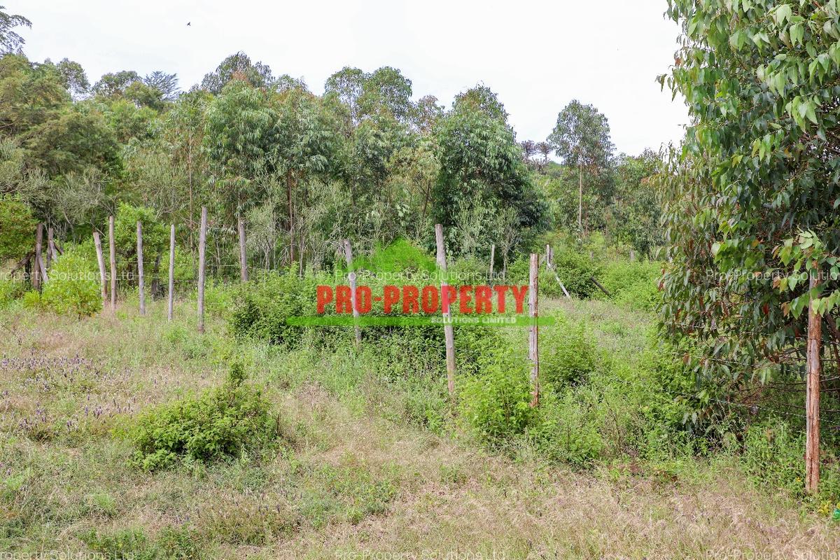 0.05 ha Residential Land at Nachu - 2