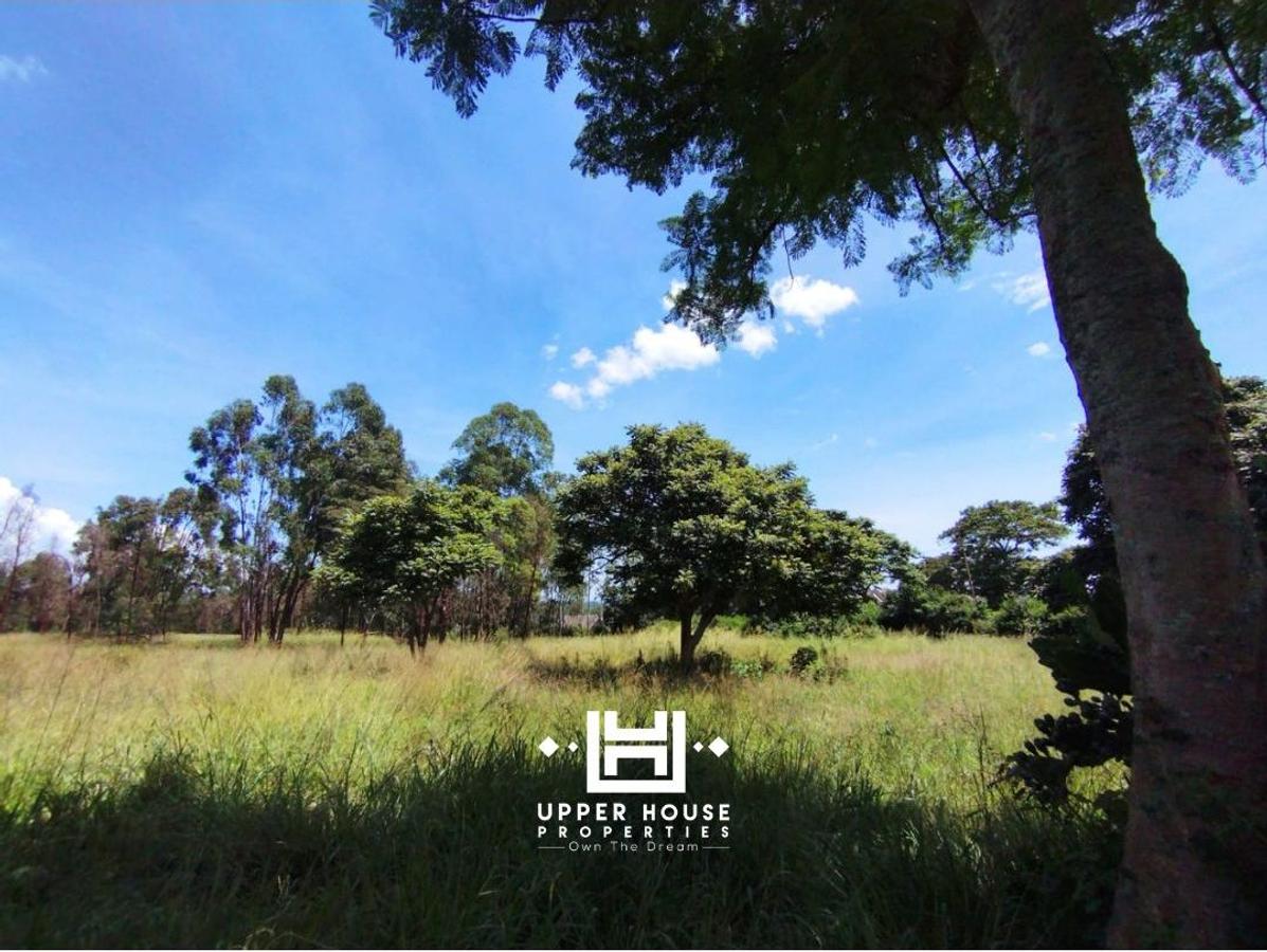 12.5 ac Land at King'Ong'O - 7