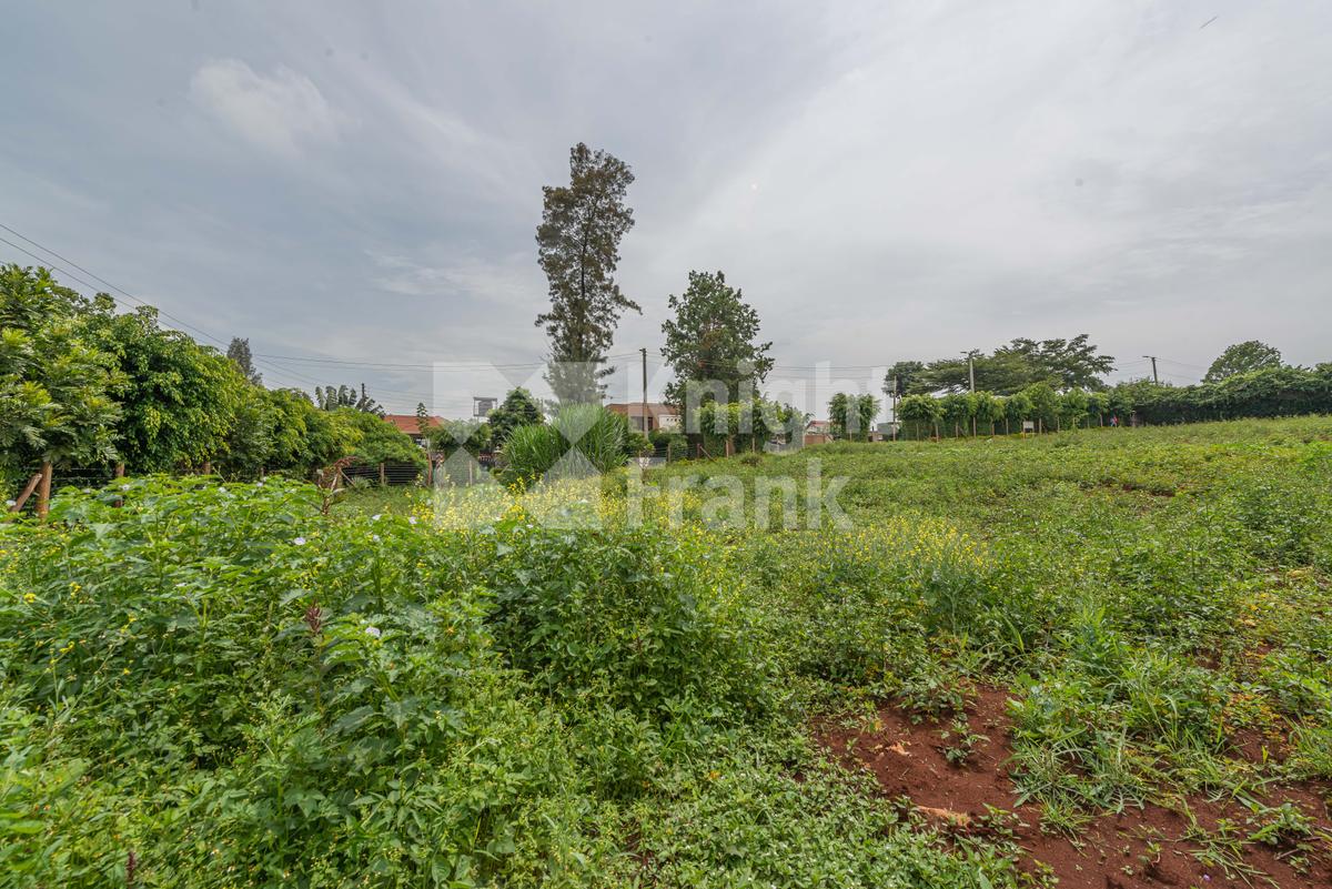 Land in Runda - 5