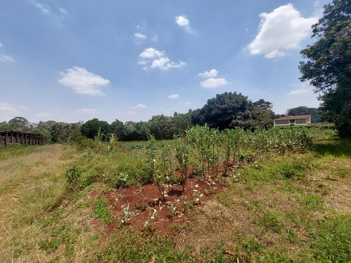 Residential Land at Kinanda Road - 2