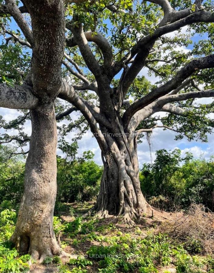 73.6 ac Land in Vipingo - 2