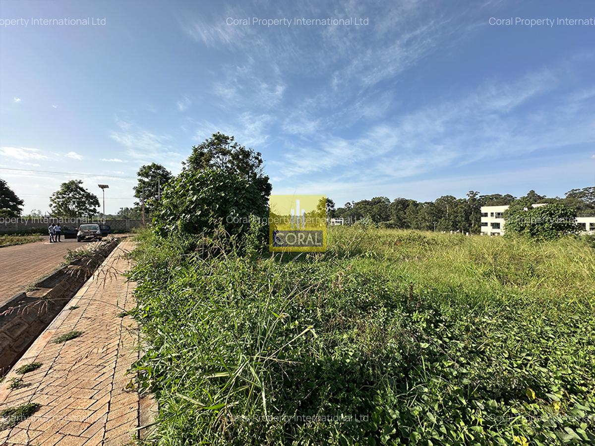 0.25 ac Land in Tatu City - 1