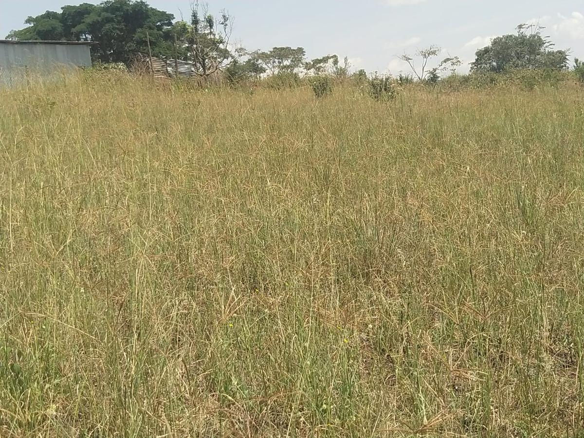 0.25 ac Residential Land in Ngong - 7