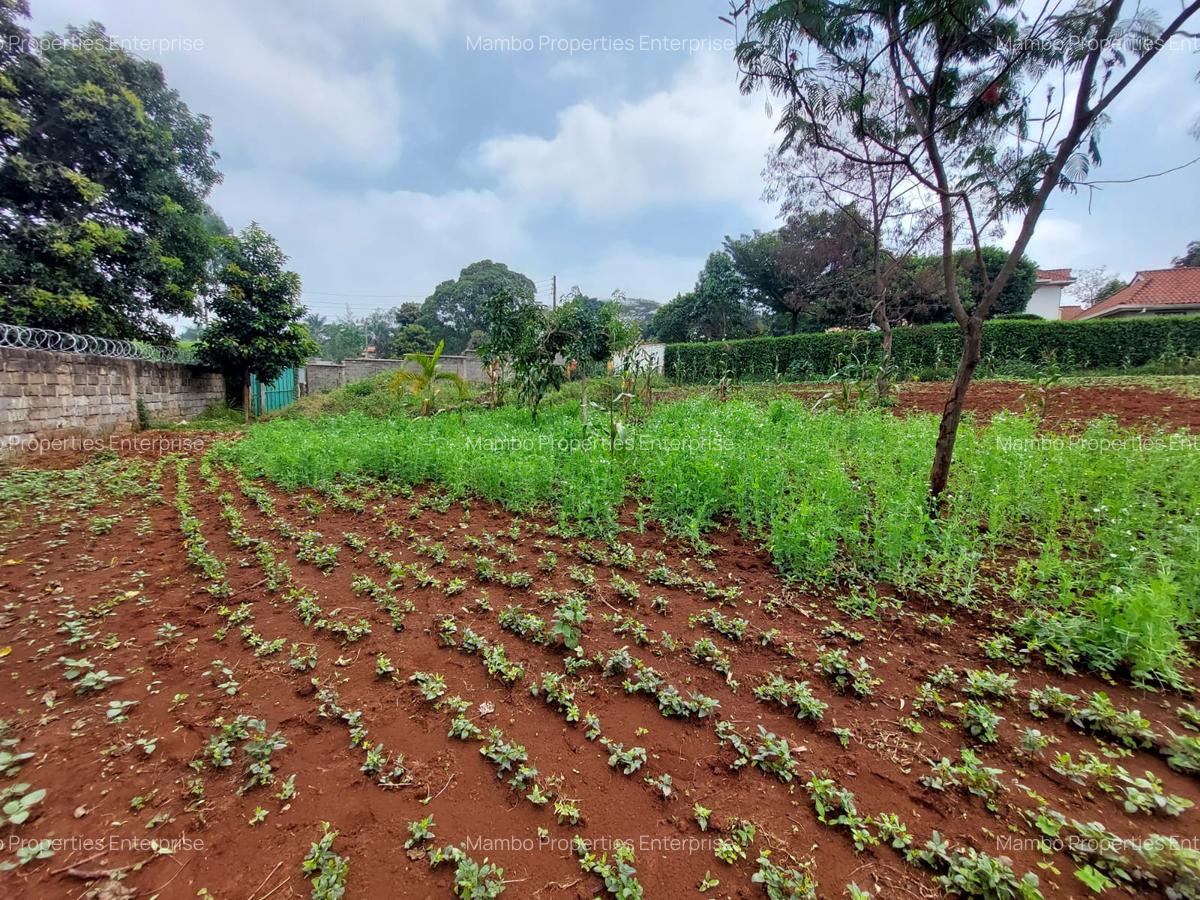 Residential Land at Off Pan African Insurance Avenue - 19