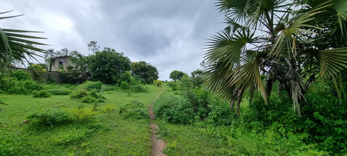 10 ac Land at Kikambala - 7