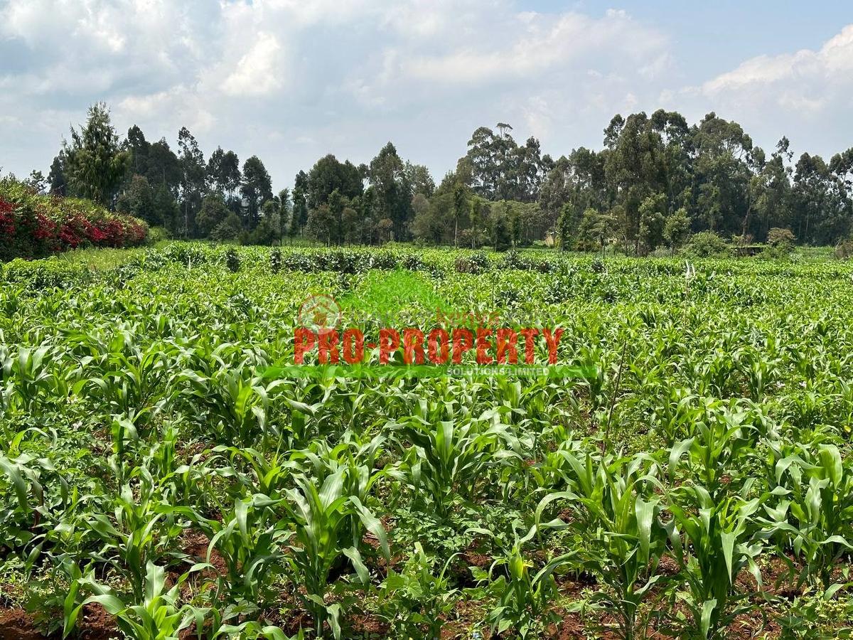 0.4 ha Land at Tilisi - 5