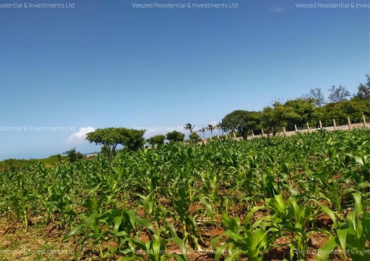 2 ac Land in Bofa - 7