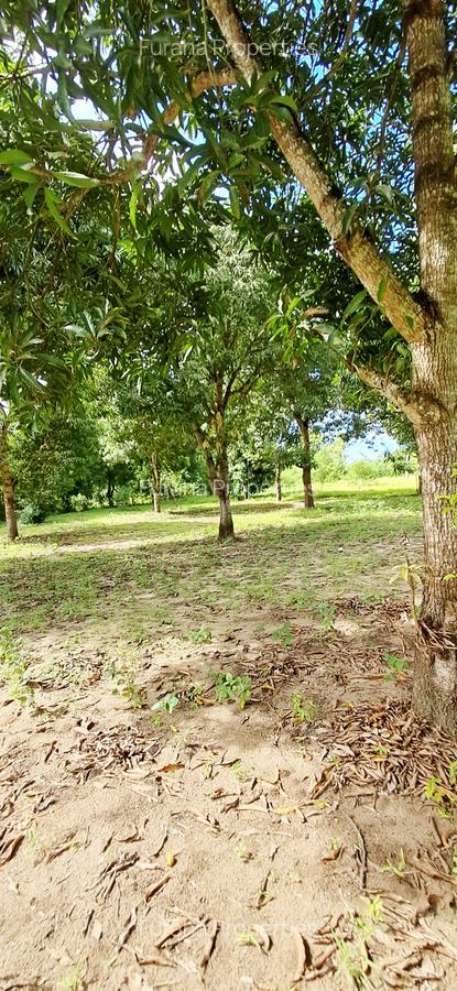 Land at Mtwapa - 9