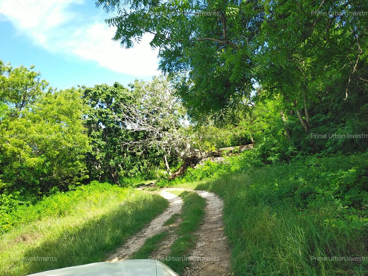 Land at Kuruwitu Beach Vipingo - 20