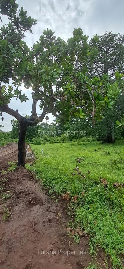 Land in Vipingo - 1