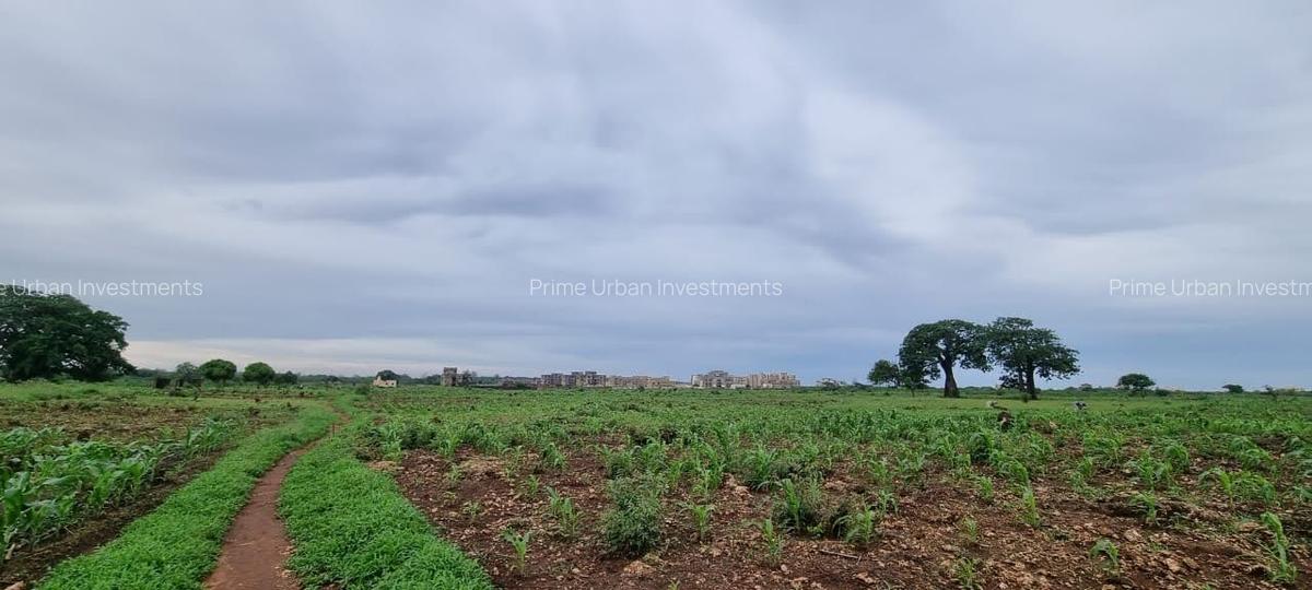Land at Utalii - Vipingo - 19