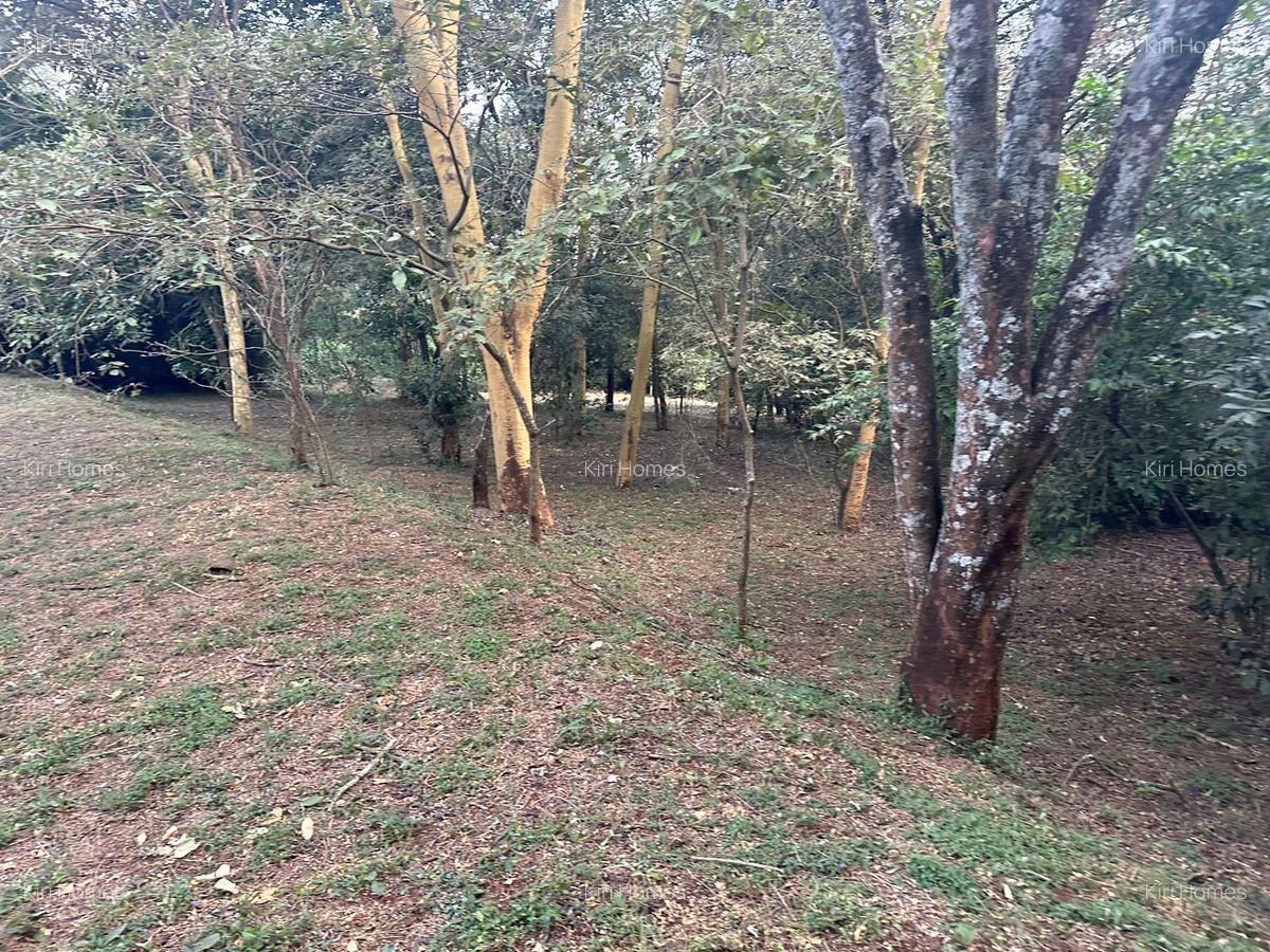 Land in Karen - 18
