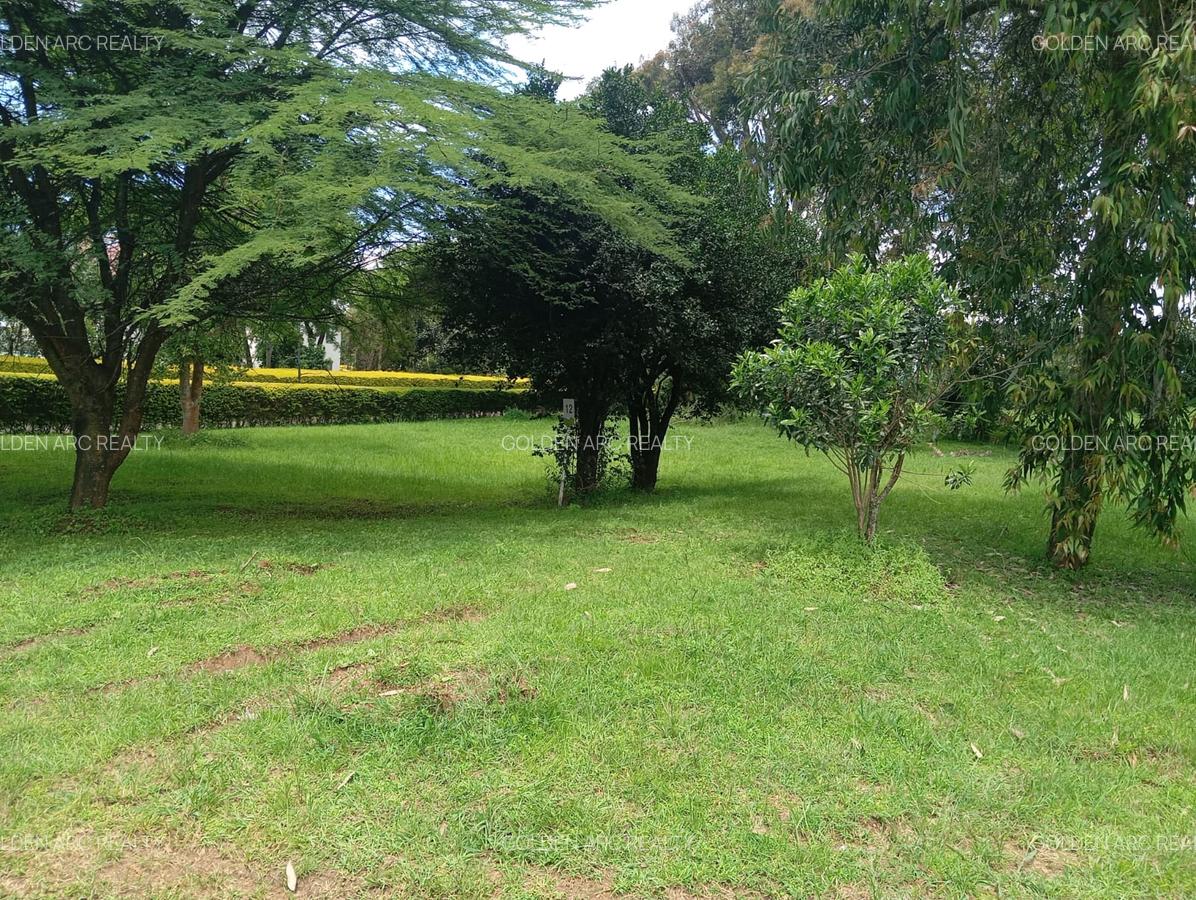 Land in Karen - 11