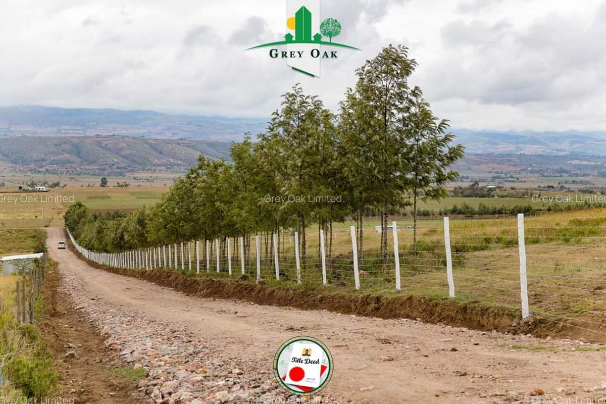 0.0430 ha Residential Land in Naivasha - 15