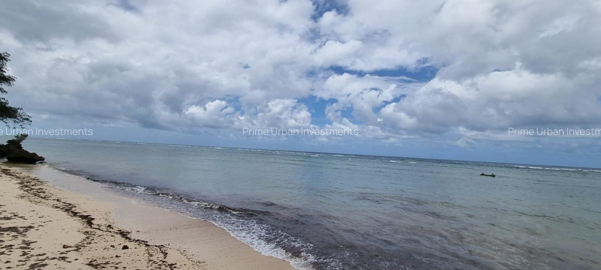 Land at Vipingo Kuruwitu Beach - 6