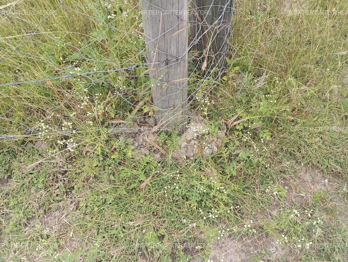 0.125 ac Land at Kyumvi Junction - 11
