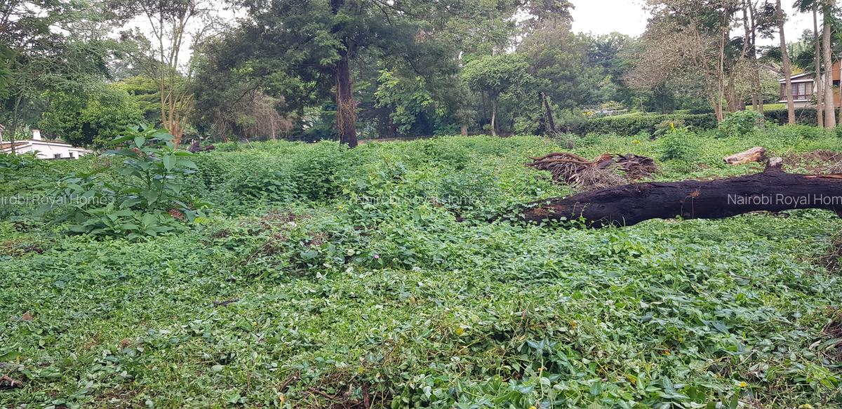 Residential Land at Shanzu Road - 2