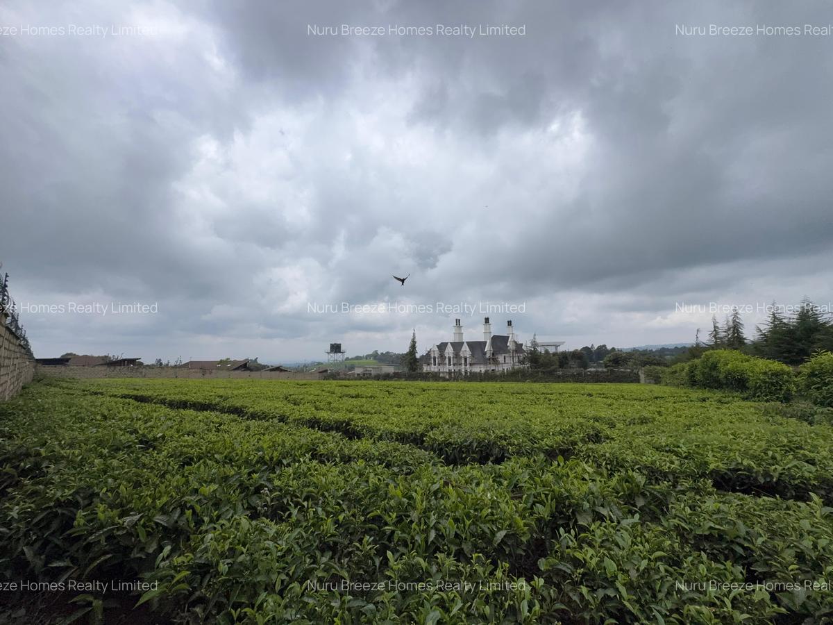 1 ac Land in Tigoni - 2