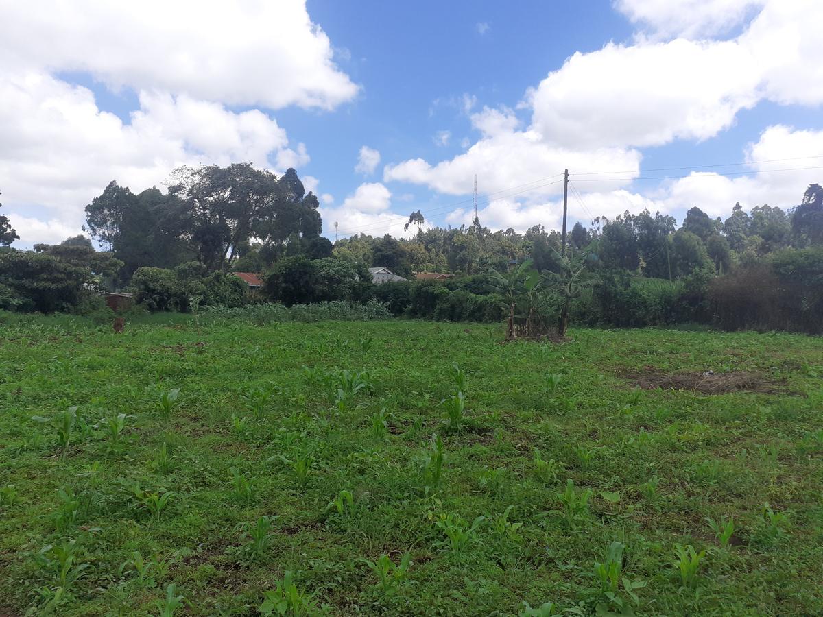 0.5 ac Land in Kikuyu Town - 4