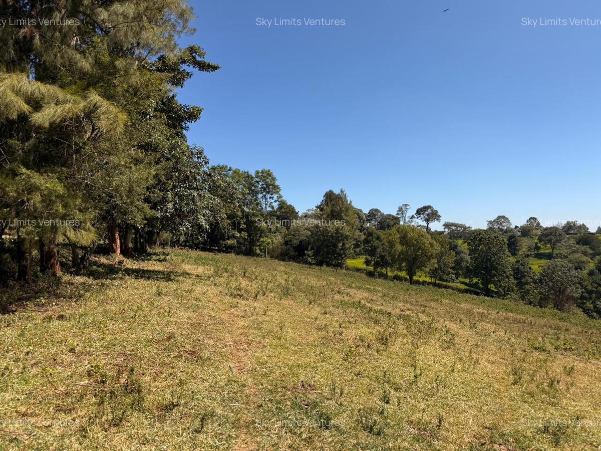 6.39 ac Residential Land in Tigoni - 5