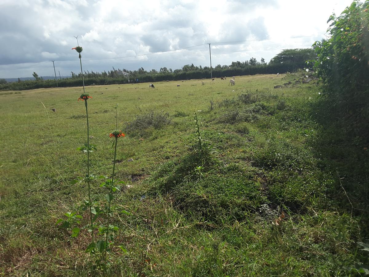 1 ac Residential Land in Ongata Rongai - 16