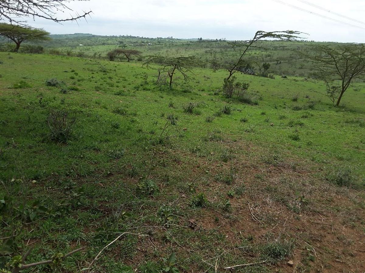 4 ac Residential Land in Kiserian - 4