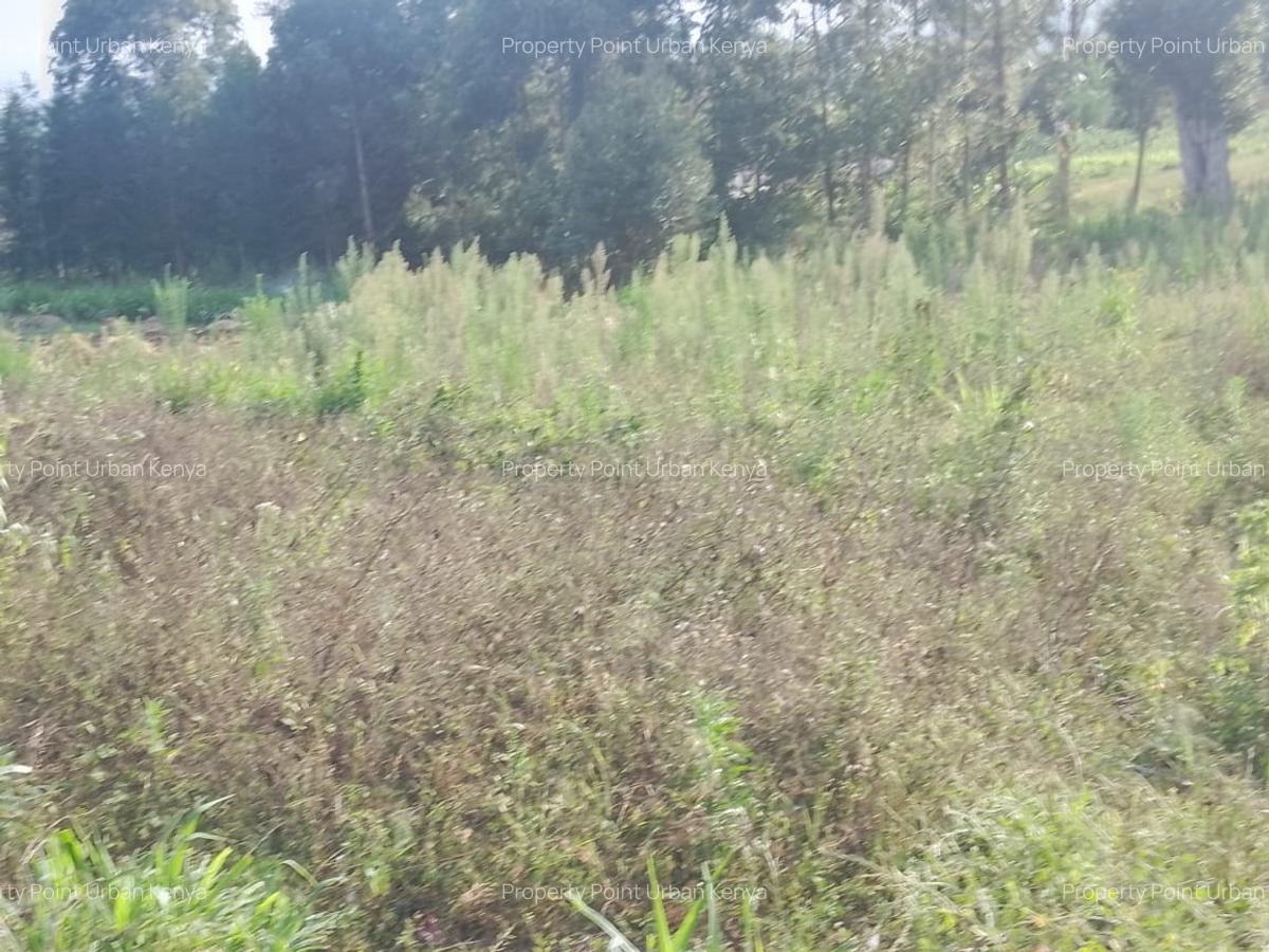 2.5 ac Land at Village (Mbiriri Muthaiga) - 17