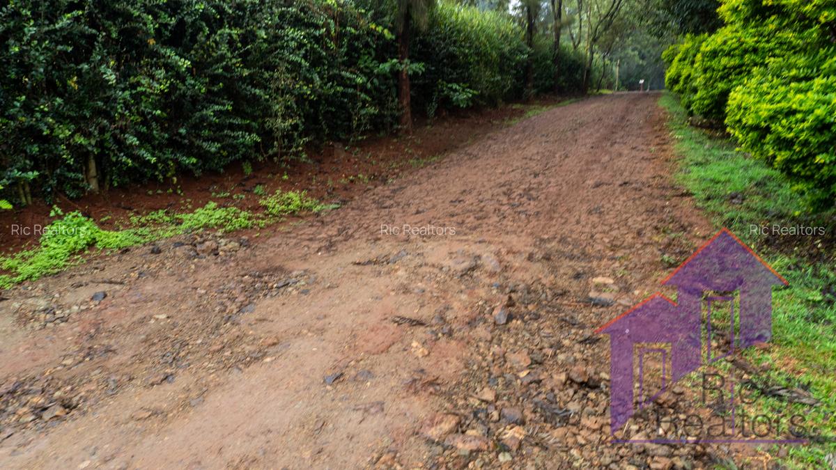 0.5 ac Land at Karen Road - 8